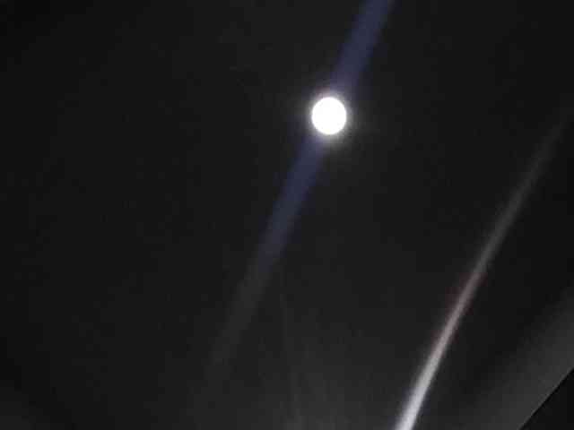 AdeleGreyhot webcam