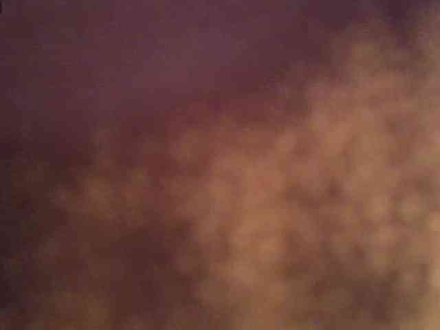 AdeleGreyhot webcam