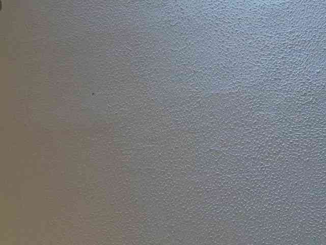 AdeleGreyhot webcam