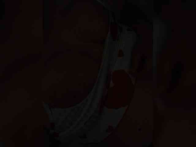 Vallerisnkaal webcam