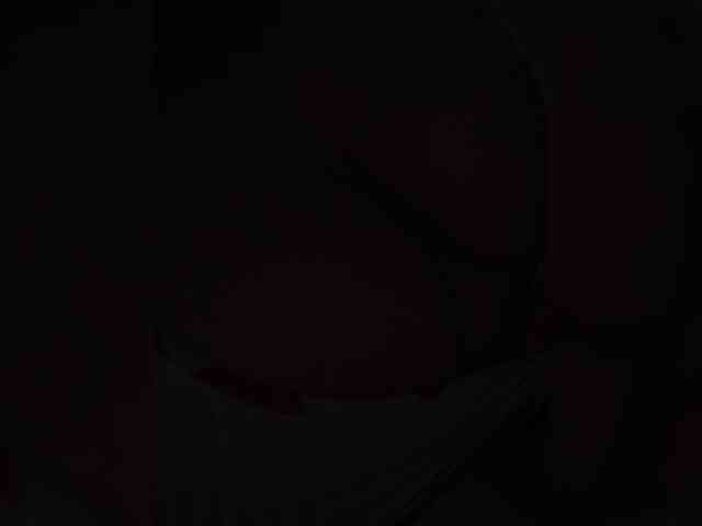 Vallerisnkaal webcam