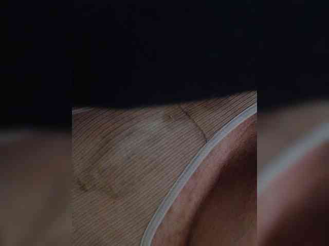 Vallerisnkaal webcam