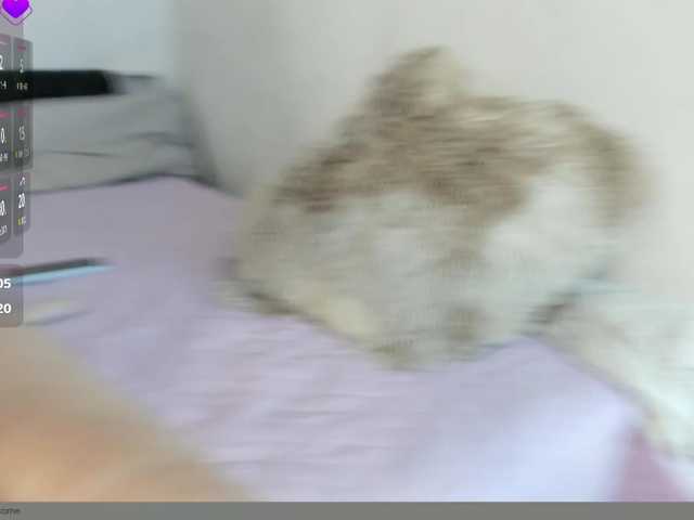 Kamari-