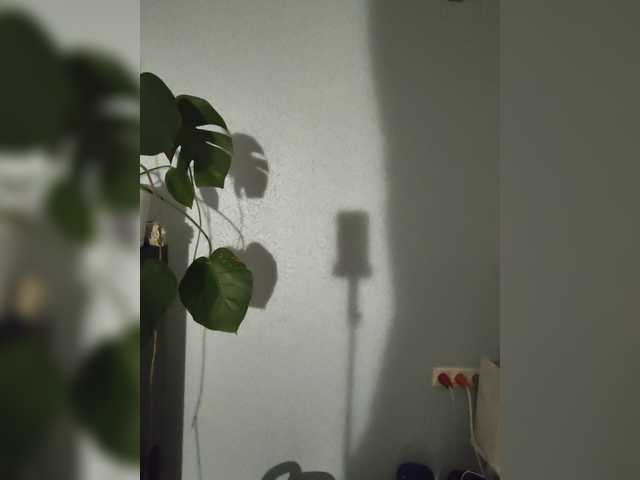Spring-Water live cam on BongaCams