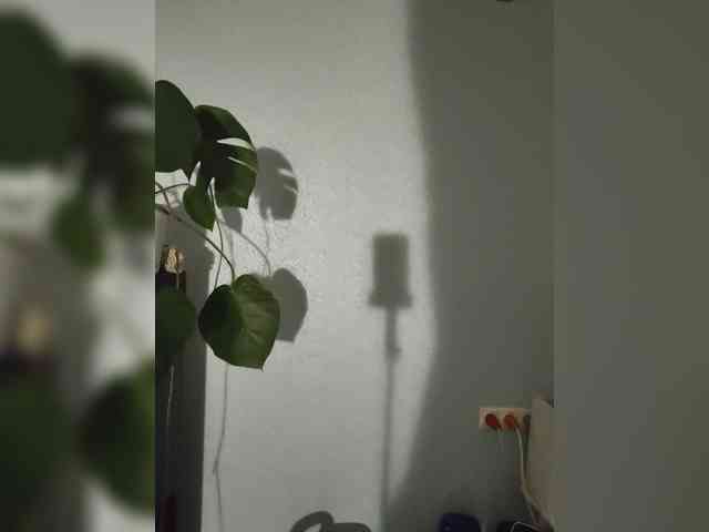 Spring-Water webcam