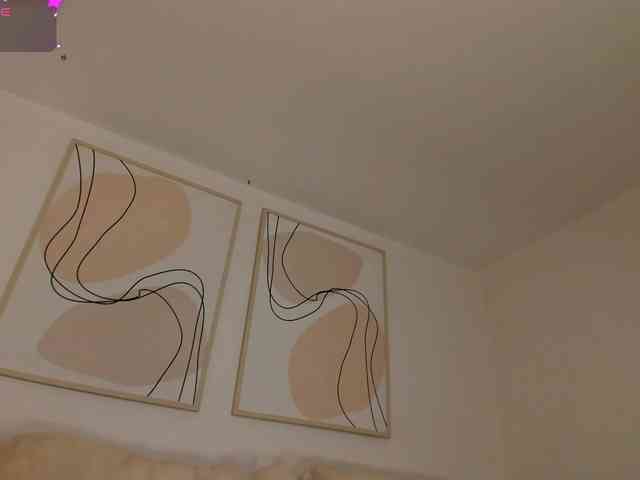 SophieLafont webcam