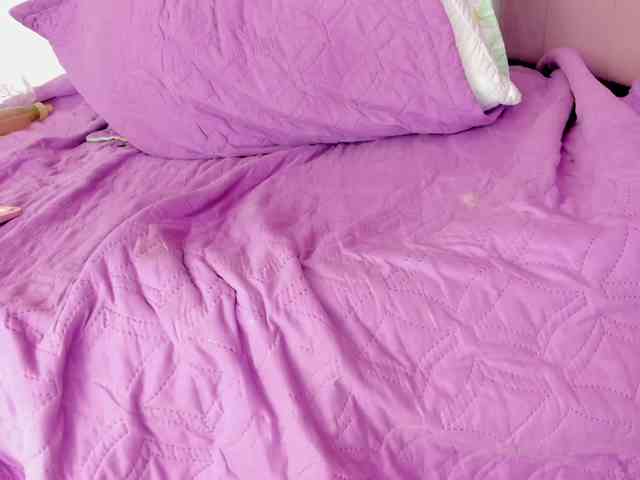 BrithanybunnyA19 webcam