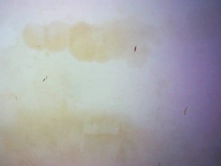 Prettydoll5's Live Webcam