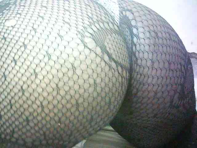 Prettydoll5 Prettydoll5