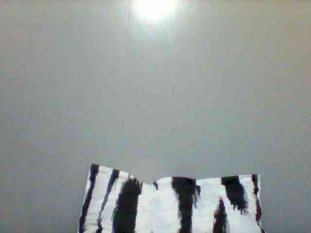 Mona2002 webcam