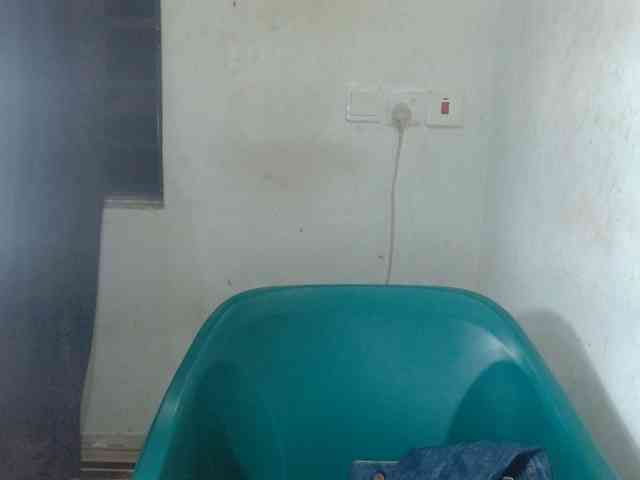 Beachxgirl webcam