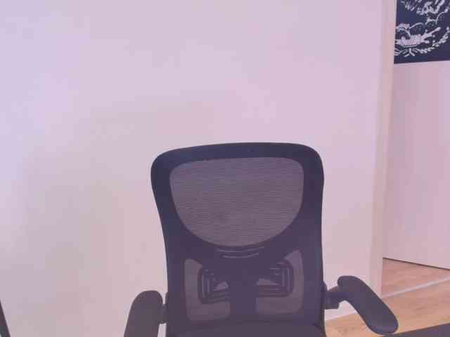 MsMelania webcam