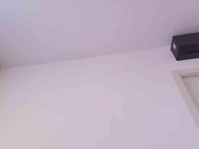 MsMelania webcam