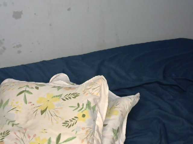bootylesious live cam on BongaCams