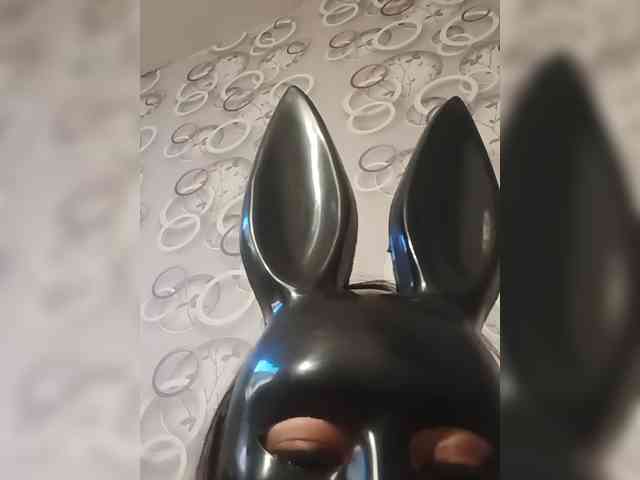 Alfasamka-2 webcam