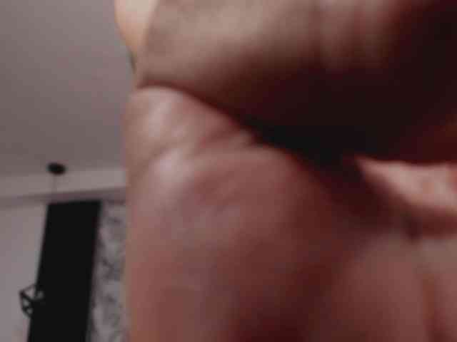 artemisacll