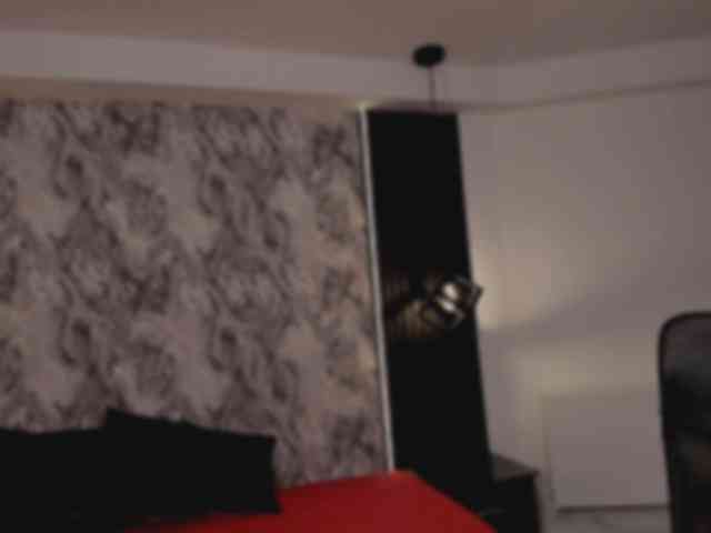 artemisacll webcam