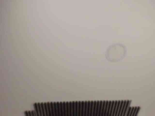 artemisacll webcam