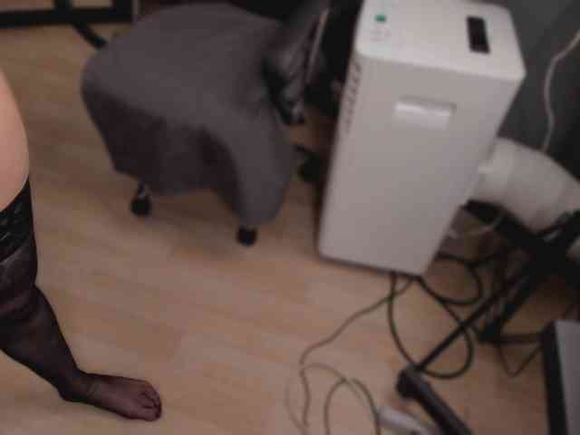 artemisacll webcam