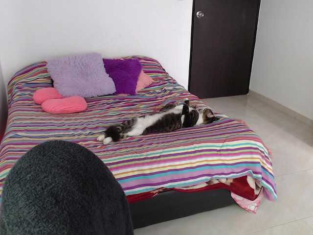 caterina2 live webcam show