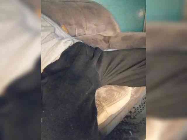 Bedshow22