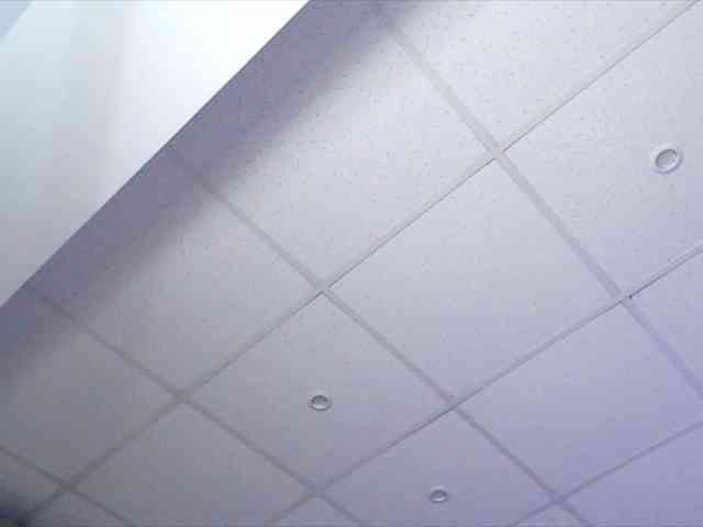 DezireeDoly webcam