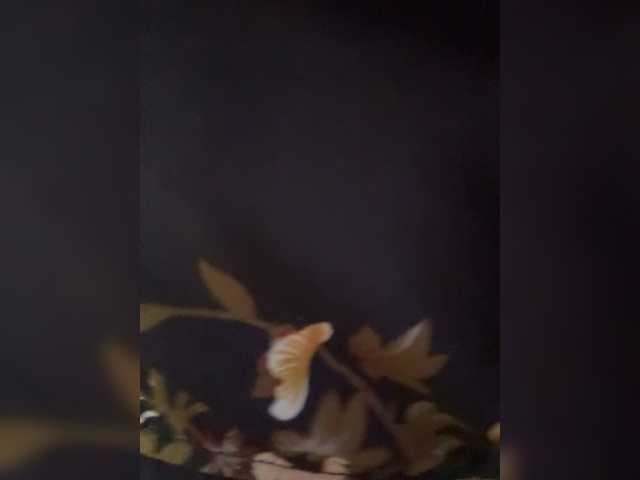 Kitti2918