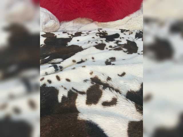 Kitti2918