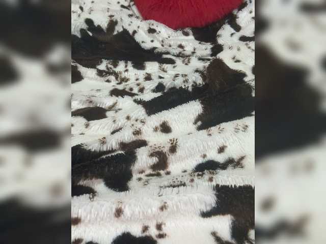 Kitti2918