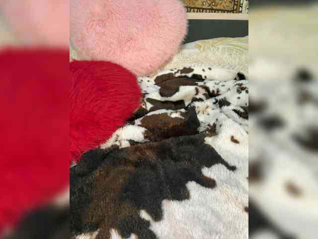Kitti2918 webcam