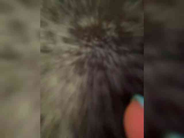 Kitti2918 webcam