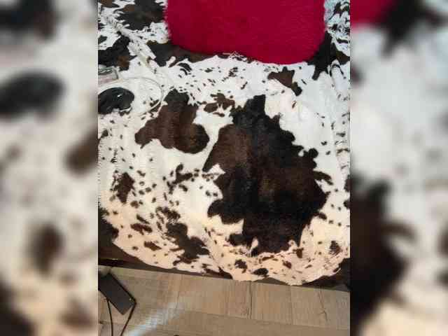 Kitti2918 webcam