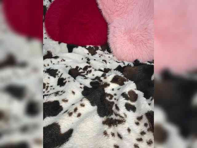 Kitti2918