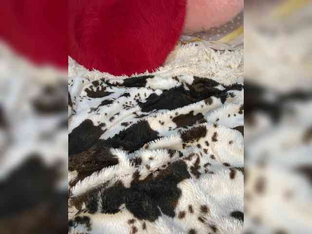 Kitti2918 webcam