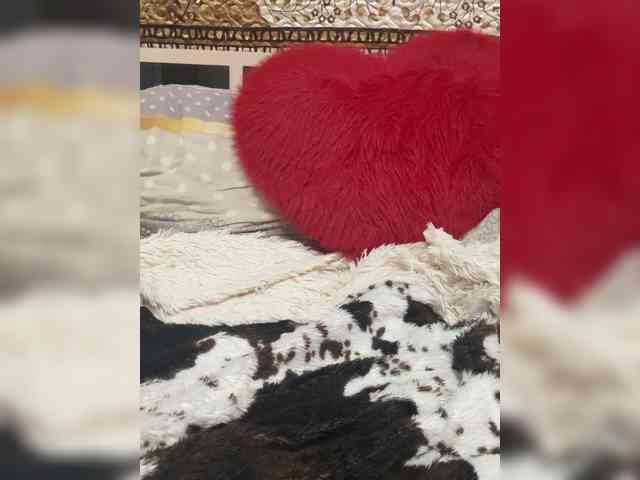 Kitti2918 webcam