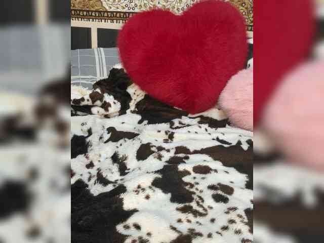 Kitti2918 webcam