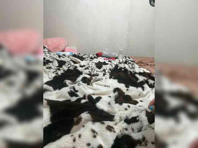 Kitti2918 webcam