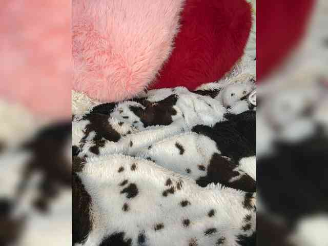 Kitti2918 webcam