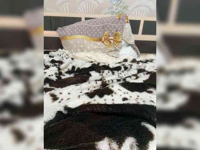 Kitti2918 webcam