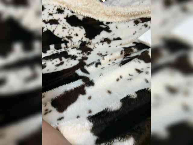 Kitti2918 webcam