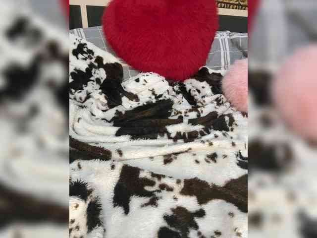 Kitti2918 webcam