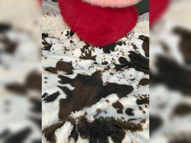 Kitti2918 webcam