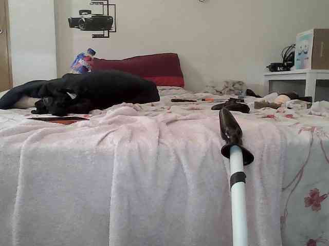 Camilofullsx