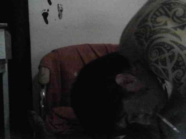 Camilofullsx Camilofullsx