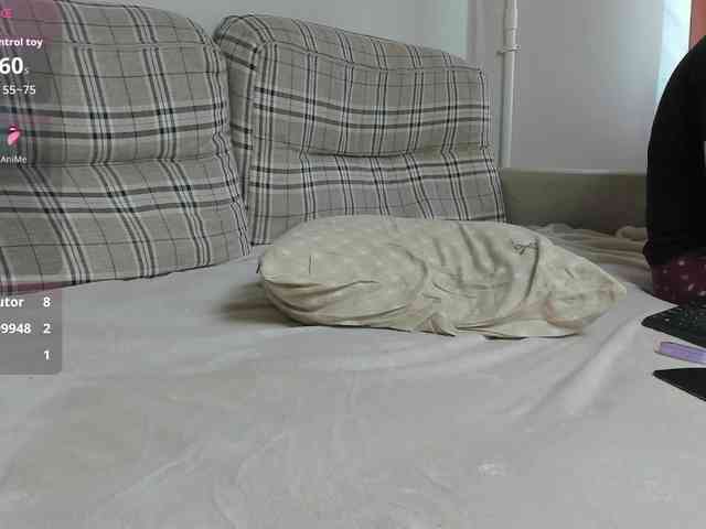 Stiv-Vikki webcam