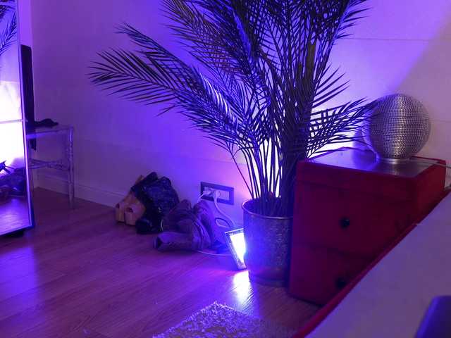 AmberVale live cam on BongaCams