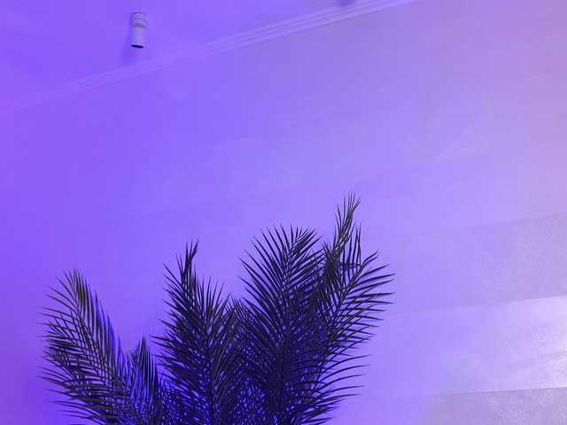 AmberVale live cam on BongaCams