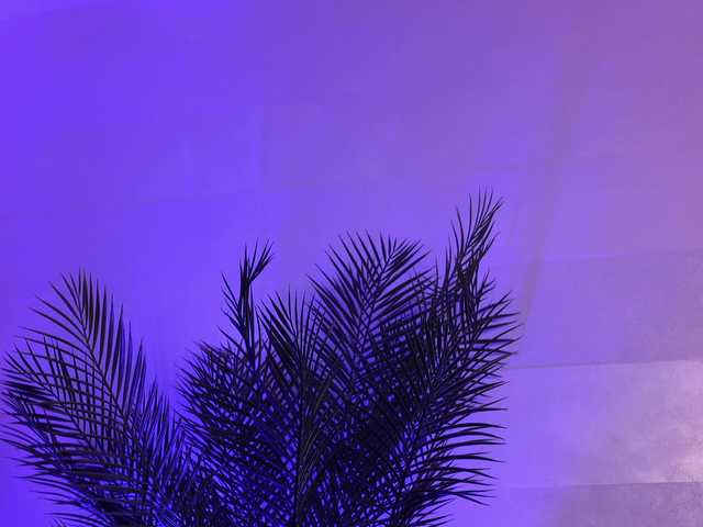 AmberVale