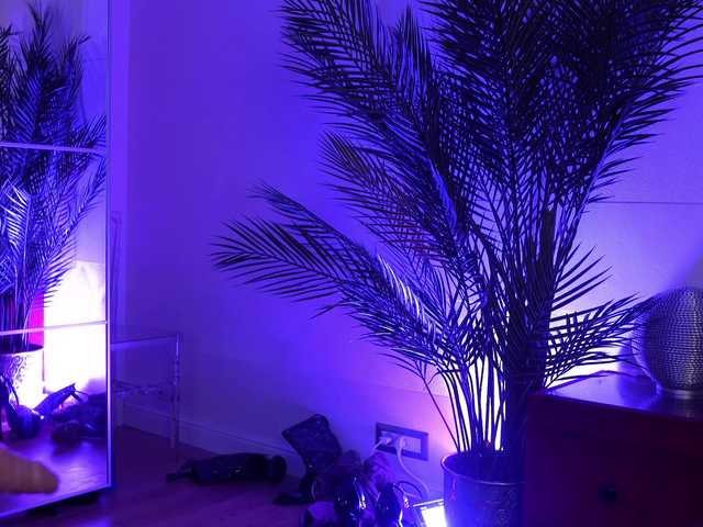 AmberVale live cam on BongaCams