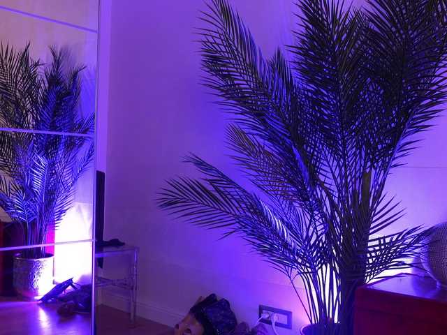 AmberVale live cam on BongaCams